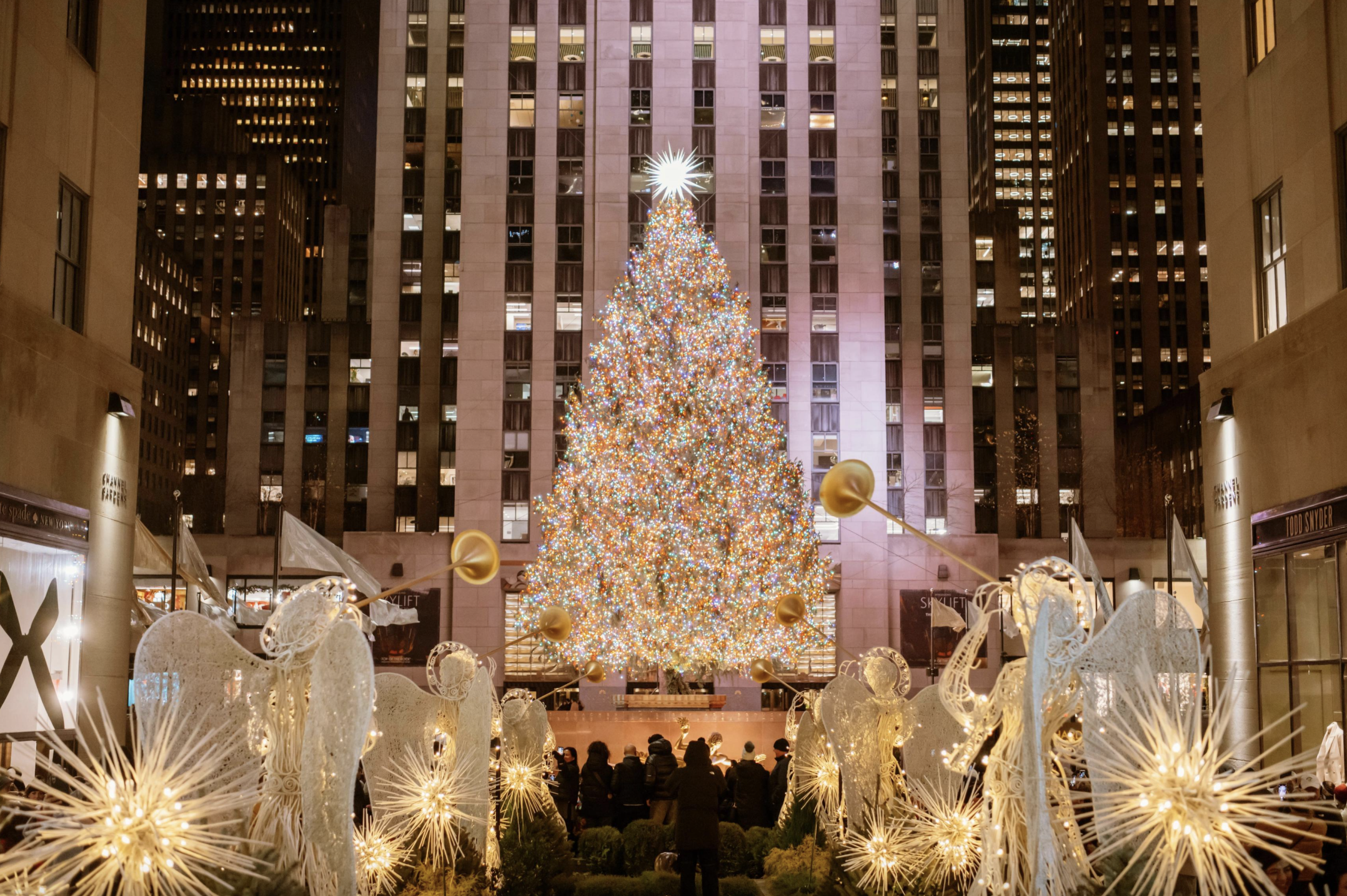 A Season Illuminated: The Celestial Edit of Christmas Holiday 2025 & New Year Vacation