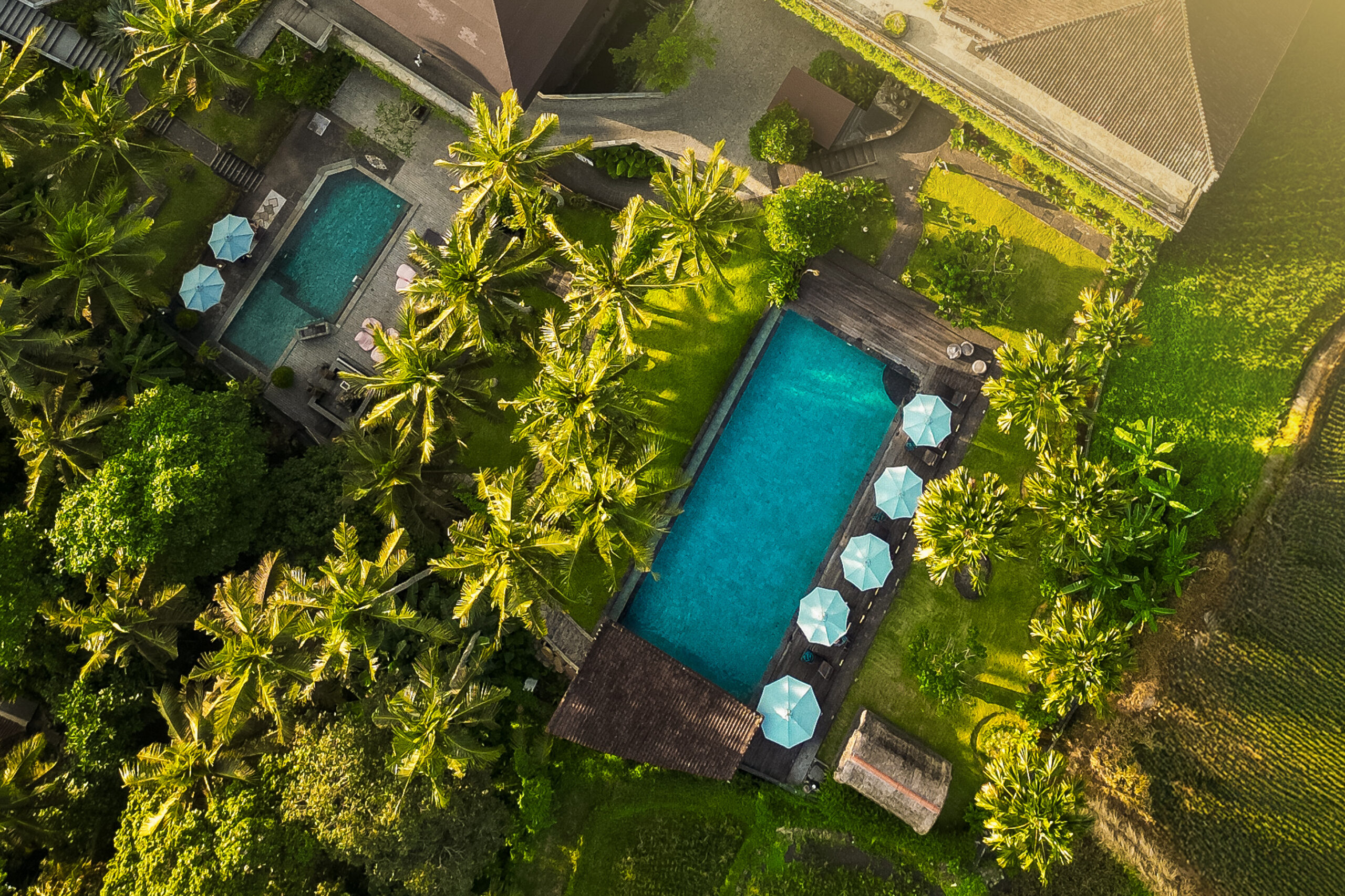 Discover the Art of Slow Living at The Artini Dijiwa Ubud