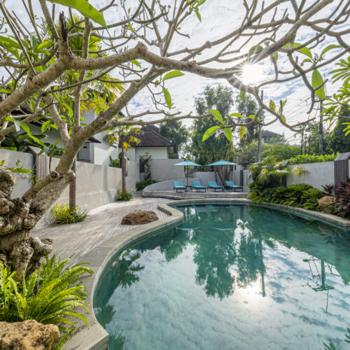 A Calm Space to Work, Dine and Unwind at Blou Café Canggu
