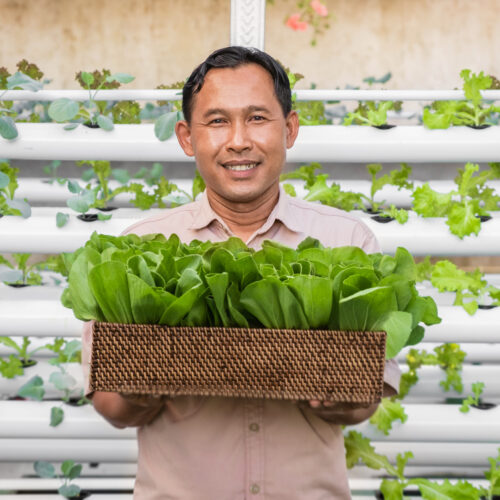 Sustainability Without the Spin: Where Luxury Resort Learns to Give Back